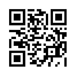 Pingfit.biz QR code