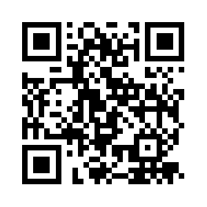 Pinsteelballs.com QR code