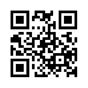 Pinweel.biz QR code