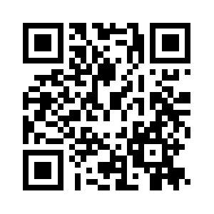 Pivotdatasolutions.com QR code