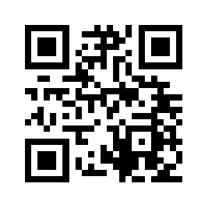 Pkin.biz QR code