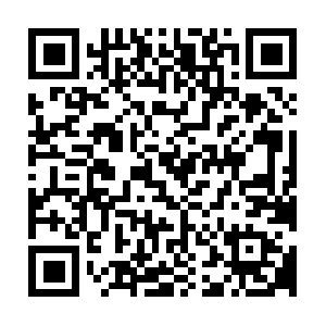 Pl.ahlannet.co.il.251.100.5.in-addr.arpa QR code