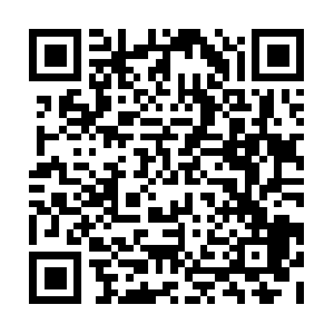 Plandeaccionesesparragoscarretilla.com QR code