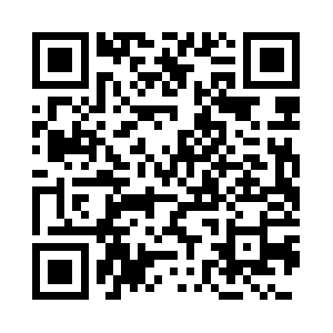 Platillosvolantesbilbao.com QR code