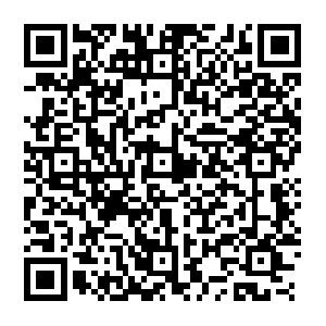 Playatoms-pa.googleapis.com.getcacheddhcpresultsforcurrentconfig QR code