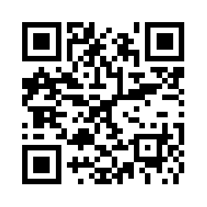 Playgroundboy.org QR code