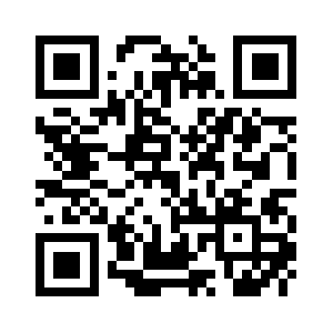 Playstormtoys.org QR code