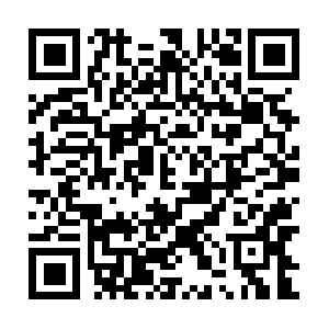 Plazasportatilesyeventosvaldejalon.net QR code