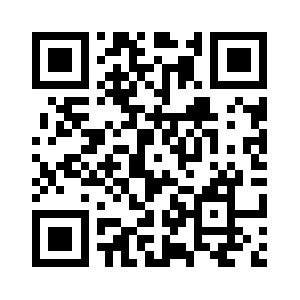 Pletterstraat.com QR code