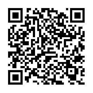 Plomeriaelectridadherrreriamexleon.com QR code