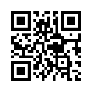 Plung.space QR code