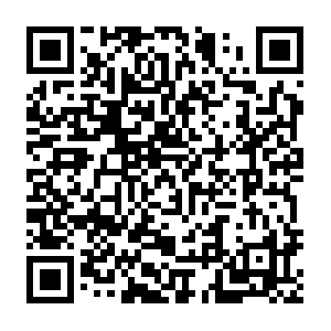 Pnpapiweb-1402341902.us-west-2.elb.amazonaws.com QR code