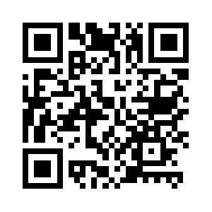 Pocketholsters.com QR code