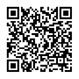 Poisonivybambooremovalnewjersey.biz QR code