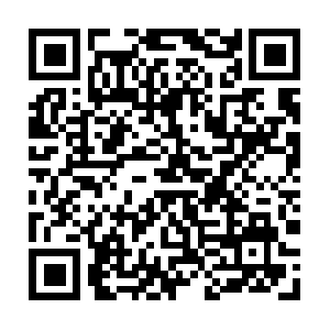 Poloatierraexperienciassociales.com QR code