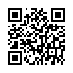 Porcelainvision.com QR code