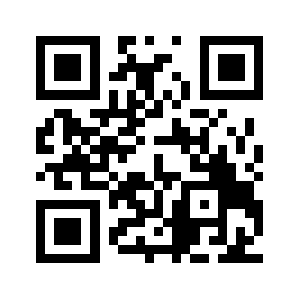 Pp536.info QR code