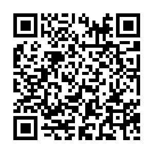 Pp8busnbdzwufse3f4wuh0baiks05edbz7e.com QR code