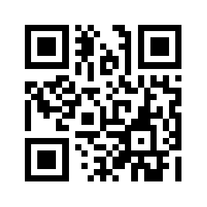 Ppg41.com QR code