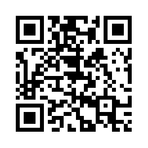 Praccessories.net QR code