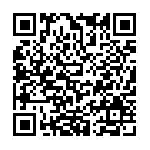 Pranaintegrativemedicineinstitute.com QR code