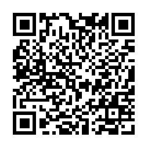 Pranaintegrativemedicineinstitute.net QR code