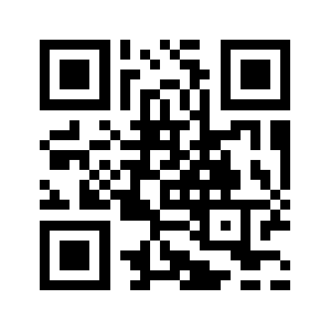 Praptiseo.com QR code