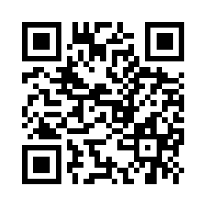 Precisionrigger.com QR code