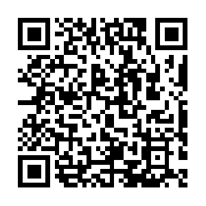 Preservationallianceofspringlake.com QR code