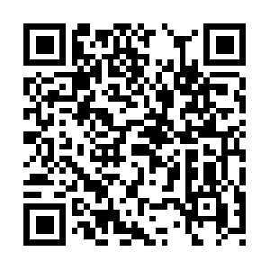 Preservingtheparousiaandepiphanytruth.com QR code