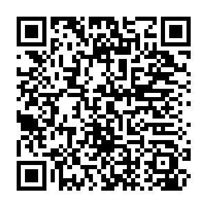 Presidentialcampaignselectionsreference.wordpress.com QR code