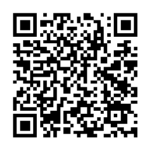 Primary.origin11.wow.cdnlive.krma.cdngp.net QR code