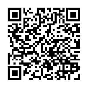 Primeinfo-rmationsrenewedfor-you.info QR code