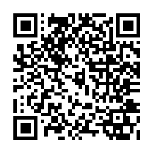 Prinzzuwaldeckvermoegensverwaltung.net QR code