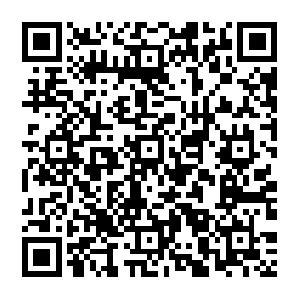 Privacycollector-production-457481513.us-east-1.elb.amazonaws.com QR code