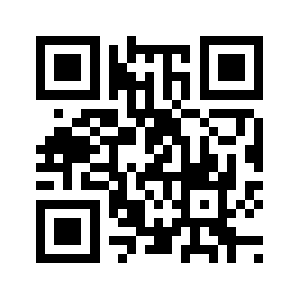 Privatizz.com QR code