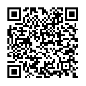 Procasa-housemanagement-real-estate.com QR code