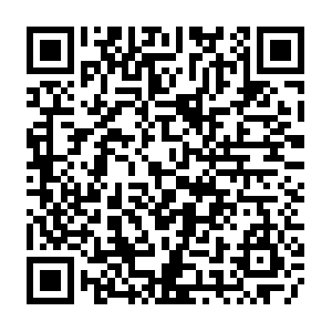 Productosyservicioselmetropolitano-encuestadora.com QR code