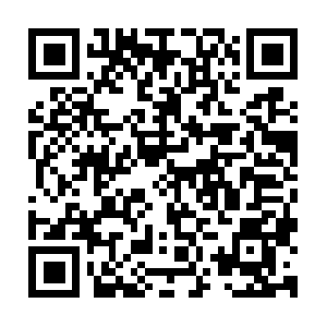 Professional-lady-drivers-worldwide.com QR code