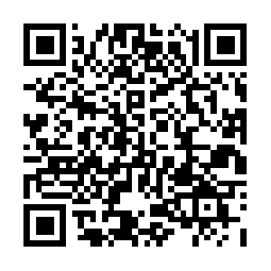 Professional-soccer-betting-tips1x2.tips QR code