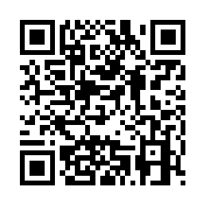 Professionalaccountinggroup.com QR code