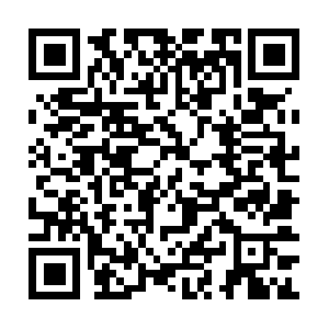 Professionalbailagentsassociation.org QR code