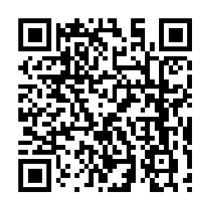 Professionalcertificationsupportservices.org QR code
