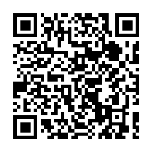 Professionalchildvisitationmonitors.com QR code