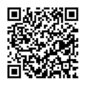 Professionalcoachesadvisoryservices.com QR code