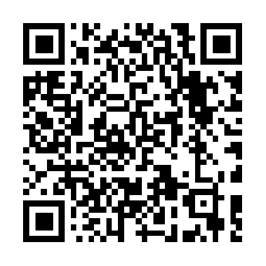 Professionalcorporationcalifornia.com QR code