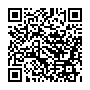 Professionaldocumentpreparation.com QR code