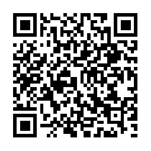 Professionalemail-individual-1years.com QR code