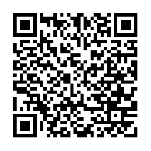 Professionalholisticeducationassociation.com QR code