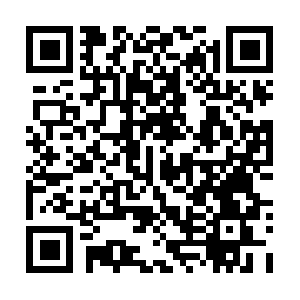 Professionalhomeandpropertywatch.com QR code